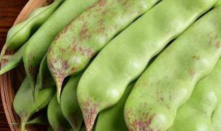 九月青豆角产自哪里