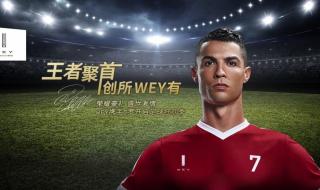 国际足联世界杯金球奖